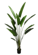 6’ Faux Traveler Palm Tree ( TT639P ) Online