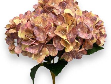 20   Real Touch Hydrangea Bush ( INT002-Coffee )( J05013 ) Online Sale