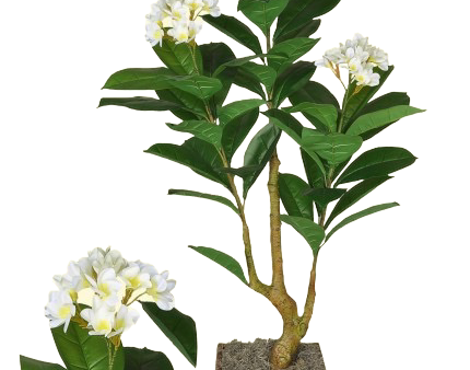 6’ Artificial Plumeria Tree ( TP9318 ) For Discount