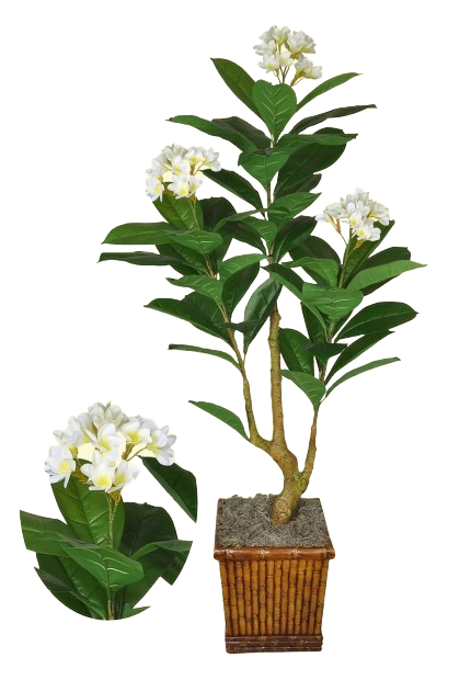 6’ Artificial Plumeria Tree ( TP9318 ) For Discount