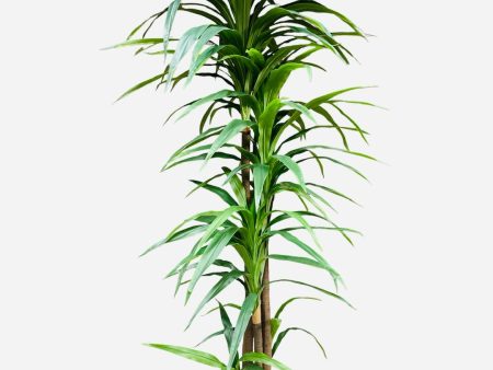 7  Real Touch Yucca ( INT6134 ) Hot on Sale