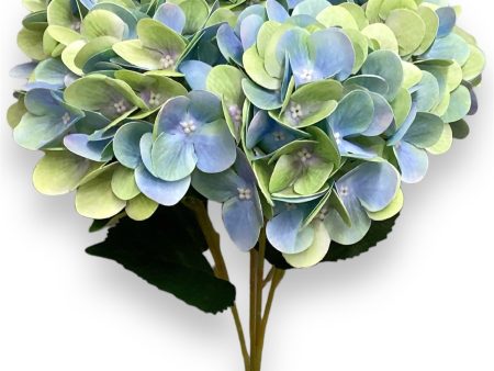 20   Real Touch Hydrangea Bush ( INT002-Green Blue )( J05013 ) Discount