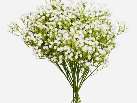 24” Faux Plastic Baby’s Breath ( SS999- White ) INT999 Hot on Sale