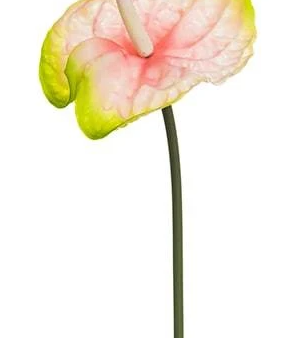 27.5  Real Touch Anthurium Spray ( FSA018-Pink ) Online now