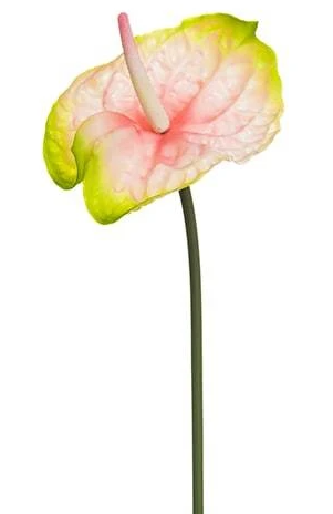 27.5  Real Touch Anthurium Spray ( FSA018-Pink ) Online now