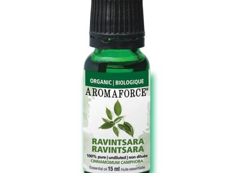 Ravintsara Essential Oil, 15ml Online now