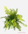 16   Maidenhair Fern Bush ( PBF136-GR ) on Sale