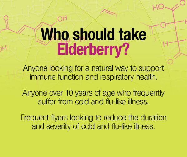 Black Elderberry Standardized Extract 100 mg on Sale