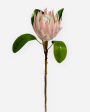 26” Artificial Queen Protea Spray ( HSP005-Pink Green ) Cheap