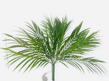 PALM LEAF X14 # BPA1255 Online now