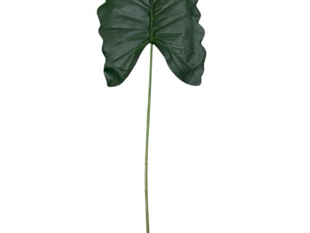 43   ANTHURIUM LEAF ( INT0012 ) Sale