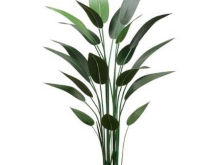 4.8’ Faux Bird of Paradise Plant ( LPB185-GR ) Discount