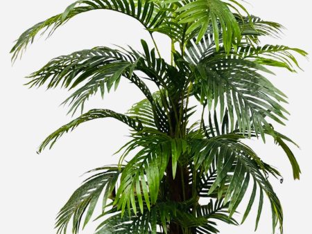 6.25  Palm Tree  ( INT1327 ) on Sale