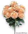 17   Open Rose Bush ( INT663-Blush ) Online