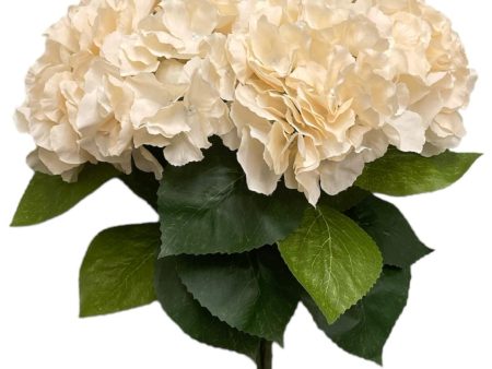 18  Silk Pongee Hydrangea Bush ( INT001-Beige ) Discount