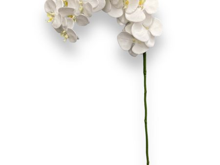 42” Real Touch Phalaenopsis Spray ( FO7199-CR ) Supply