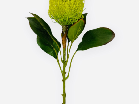 22” Real Touch Banksia Spray ( FSB211-Green ) Online