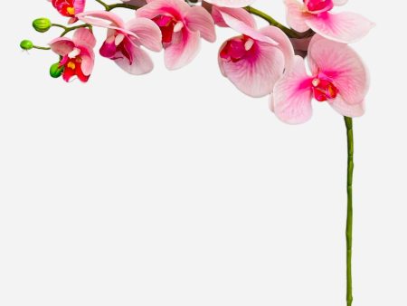 30  Real Touch Phalaenopsis Spray ( FSO173-PK RB ) Discount