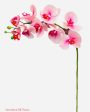 30  Real Touch Phalaenopsis Spray ( FSO173-PK RB ) Discount