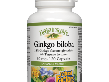 Ginkgo biloba 60 mg, HerbalFactors® Capsules Fashion