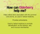 Black Elderberry Standardized Extract 100 mg on Sale