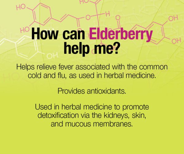 Black Elderberry Standardized Extract 100 mg on Sale