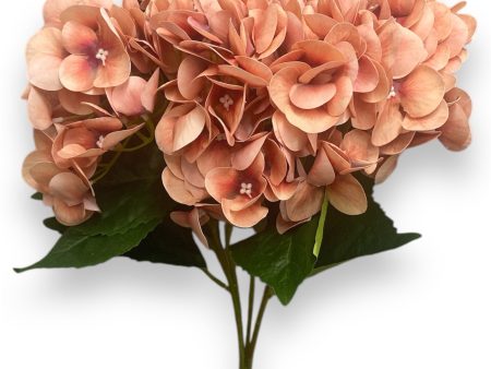 20   Real Touch Hydrangea Bush ( INT002-Brown 2 )( J05013 ) Sale