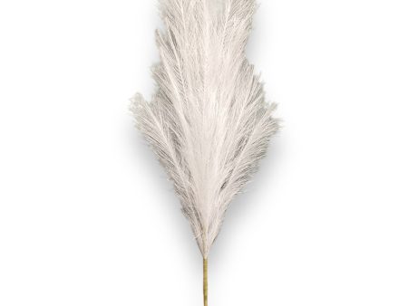 36   Pampas Grass ( LW12-White ) on Sale