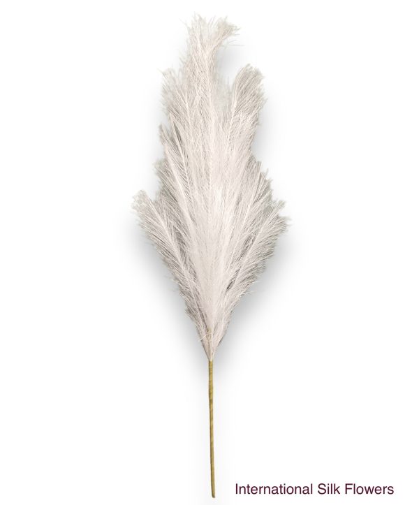 36   Pampas Grass ( LW12-White ) on Sale