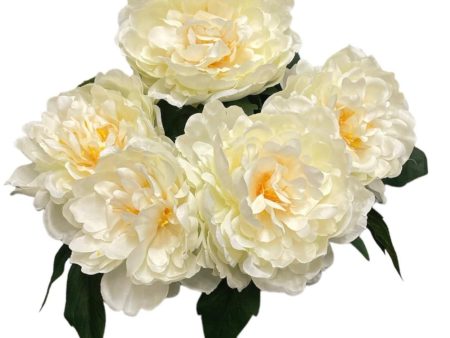 17   Silk Peony Bush ( FBP791-Cream ) For Cheap