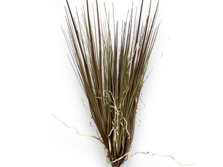 27   Onion Grass Bush ( HO633BRG ) Online Hot Sale