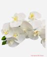 37  Real Touch Phalaenopsis Spray ( FO7195-CR ) Online Sale