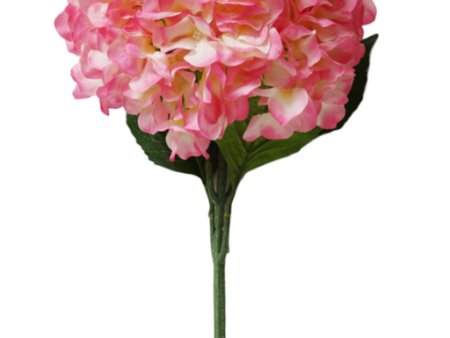 33  Silk Single Stem Hydrangea ( INT8001-Cream Pink ) Sale