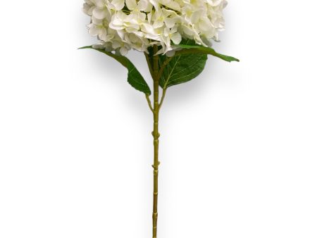 26   Single Hydrangea ( INT1018- Cream ) on Sale