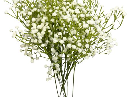 24” Faux Plastic Baby’s Breath ( SS999- Cream ) INT999 Online Sale