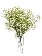 24” Faux Plastic Baby’s Breath ( SS999- Cream ) INT999 Online Sale