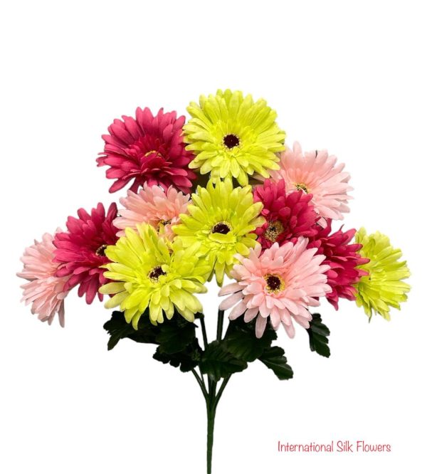 18   Gerber Daisy Bush ( 30550-HTPKLM ) Discount