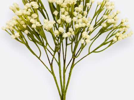 15   Gypsophila Bush ( FBG718-CREAM)) For Sale