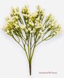 15   Gypsophila Bush ( FBG718-CREAM)) For Sale