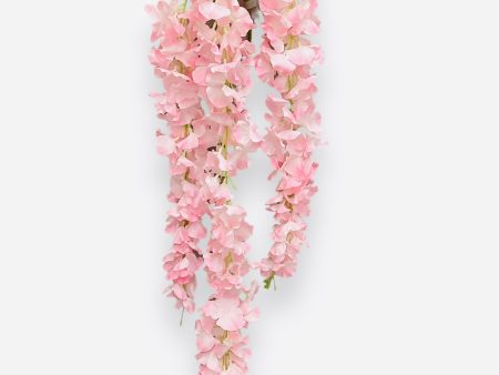 45   Foxtail Orchid  ( H3K57-Cream Pink ) For Discount