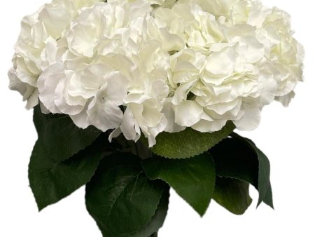 18  Silk Pongee Hydrangea Bush ( INT001-Cream ) Hot on Sale