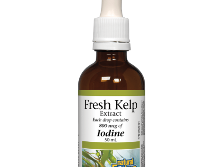 Fresh Kelp Extract 800 mcg  Liquid on Sale