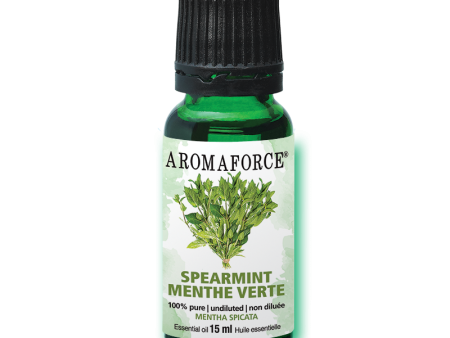 Spearmint Essential Oil, 15ml For Discount