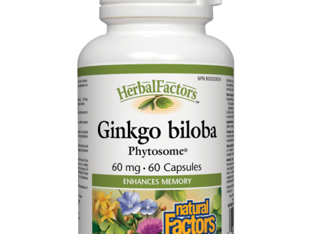 Ginkgo biloba Phytosome 60 mg, HerbalFactors® Capsules Cheap