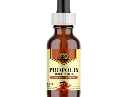 Dutchman s Gold Alcohol Free Propolis Tincture Online now