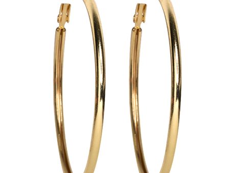 Small Gold Hoop Pierced Earrings Online