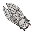 Crystal Cicada Brooch Online Sale