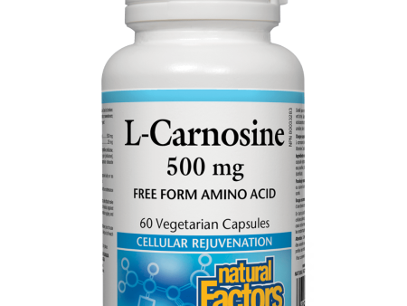 L-Carnosine 500 mg Vegetarian Capsules For Discount