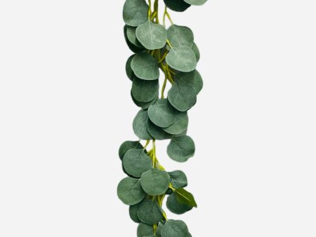 6  Eucalyptus Vine ( JQ-180 ) Cheap