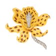 Yellow Orchid Brooch Online now